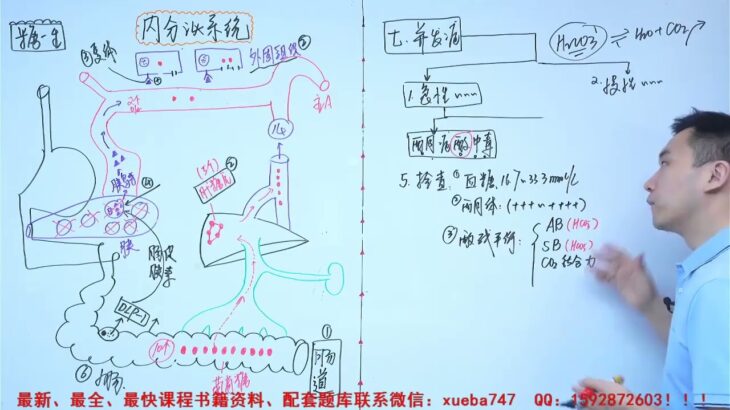 154  06 4 糖尿病 4 【2022临床执业助理医师 昭昭 内分泌系统】