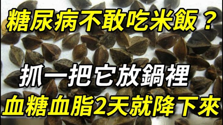 糖尿病人不敢吃米飯？抓一把它放鍋裡，不到2天血糖血脂就一降再降，退休醫生每天都在吃，糖友越早知道越好丨幸福晚年