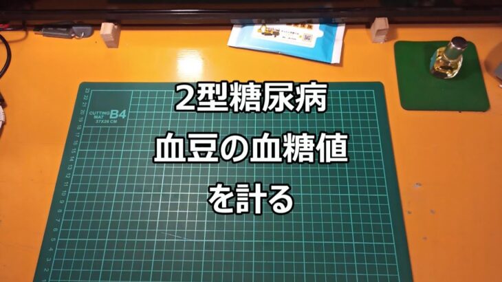 2型糖尿病血豆の血糖値を計る