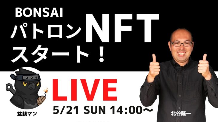 5/21パトロンNFT始まる！樹齢200年超えの黒松も登場！