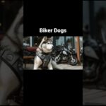 Biker Dogs #crypto #nft #ai #midjourney #dog #puppyvideos #puppy #biker #harley #chopper