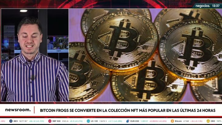 Bitcoin frogs se convierte en la colección nft más popular en las últimas 24 horas