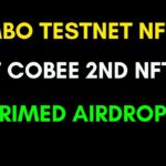 Combo Testnet NFT |Mint Cobee 2nd NFT|CONFRIMED AIRDROP