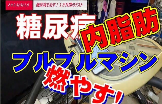 #糖尿病「ブルブルマシンの効果検証」Ha1C数値を下げよう！