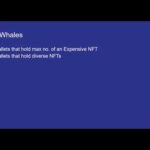 How to track NFT Whales – A tutorial