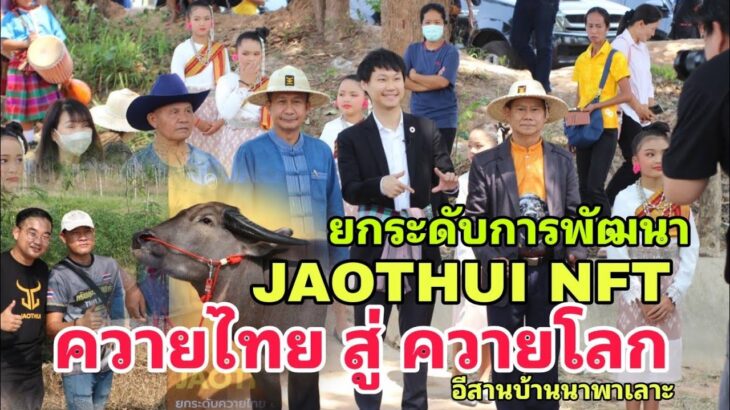 JAOTHUI NFT (เจ้าทุย) ยกระดับการพัฒนา ควายไทยสู่ควายโลก EP.89