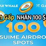 (Làm Gấp) Hướng Dẫn Mint Free NFT OAT SPOTS Và Điền Form Nhận 100 $SUIME Mạng SUI Mainnet