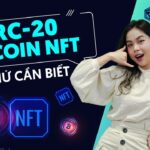 Mọi thứ bạn cần biết về token BRC-20 và Bitcoin NFT