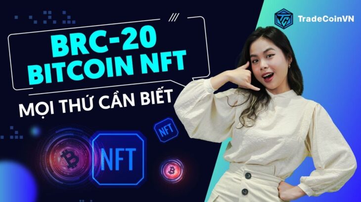 Mọi thứ bạn cần biết về token BRC-20 và Bitcoin NFT