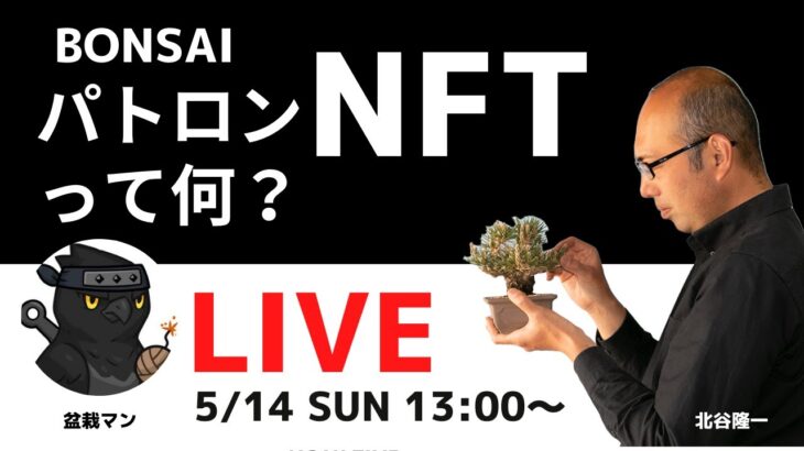 【視聴者優先】盆栽付きリターンあり！パトロンNFTって何？