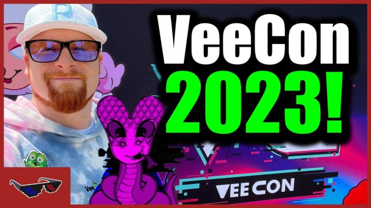 NFT ALPHA TAKES OVER VEECON (Full VeeCon 2023 Experience!)