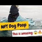 NFT Dog Poop – A Unique NFT Collection Available On Opensea ll YouTube Channel Review😱🔥ll Must Watch