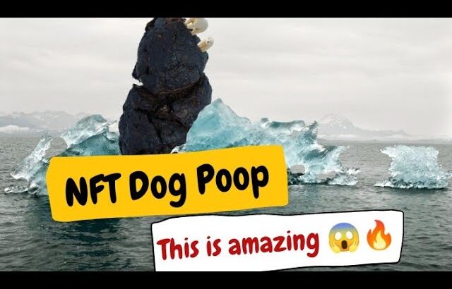 NFT Dog Poop – A Unique NFT Collection Available On Opensea ll YouTube Channel Review😱🔥ll Must Watch