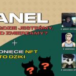 NFT: GDZIE JESTEŚMY? DOKĄD ZMIERZAMY? + ODSŁONIĘCIE NFT CRYPTO DZIKI!!!