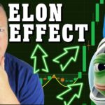 PEPE PUMPS WITH ELON NEWS LG PATENTS NFT TV MEMES STILL HERE & MOVING – DEFI DAILY