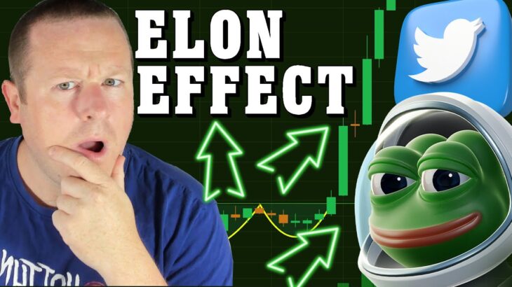 PEPE PUMPS WITH ELON NEWS LG PATENTS NFT TV MEMES STILL HERE & MOVING – DEFI DAILY