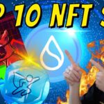 TOP 10 NFT sur SUI ! On vise le x100 au lancement ! 🚀 J-2