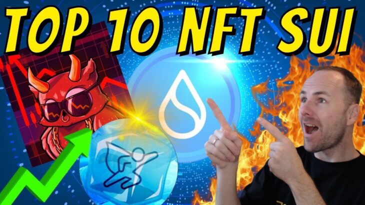 TOP 10 NFT sur SUI ! On vise le x100 au lancement ! 🚀 J-2