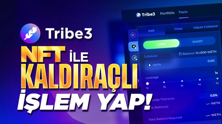 Tribe3 İle NFT’lerle Kaldıraçlı İşlem Yap l Airdrop Fırsatı