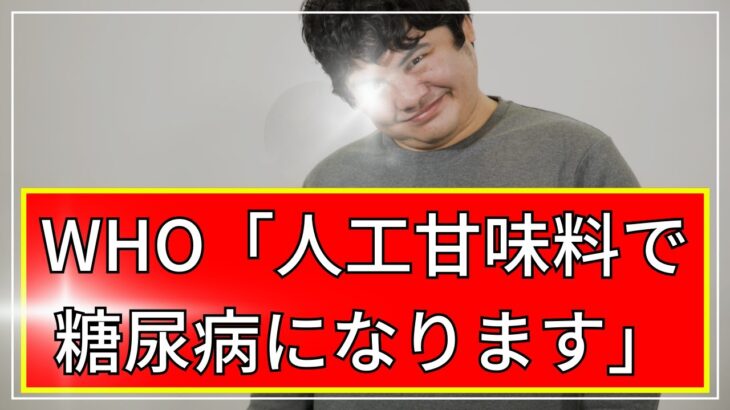 【速報】WHO「人工甘味料がヤバい」 → ダイエットどころか糖尿病に【2ch】【5ch】【ゆっくり】【実況】