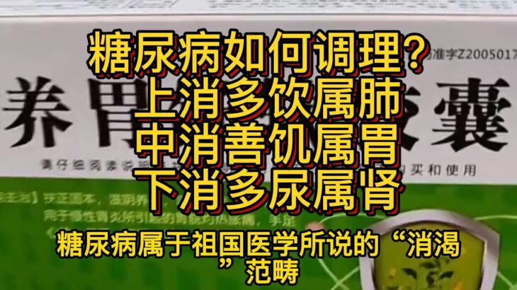 糖尿病如何调理，上消多饮属肺，中消善饥属胃，下消多尿属肾