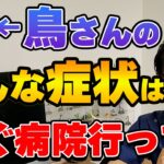 【質問コーナー】インコの糖尿病とその治療、デグーの抜け毛、鳥さんのメスが短命な理由、インコさんがくしゃみをするから病院行ったほうがいい？などにお答えしました。