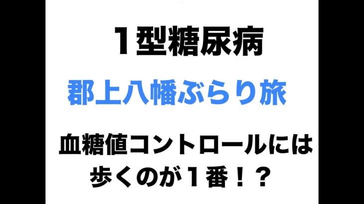 【１型糖尿病】郡上八幡ぶらり旅〜血糖コントロールには歩くのが１番！？