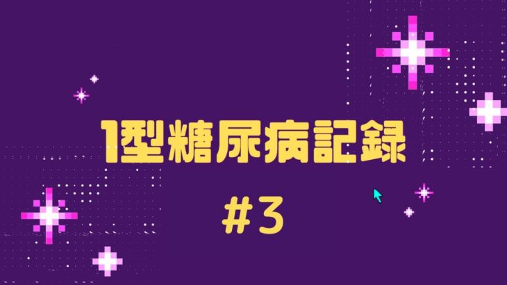 1型糖尿病記録 #3