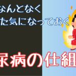 糖尿病の仕組みを1分で分かりやすく解説