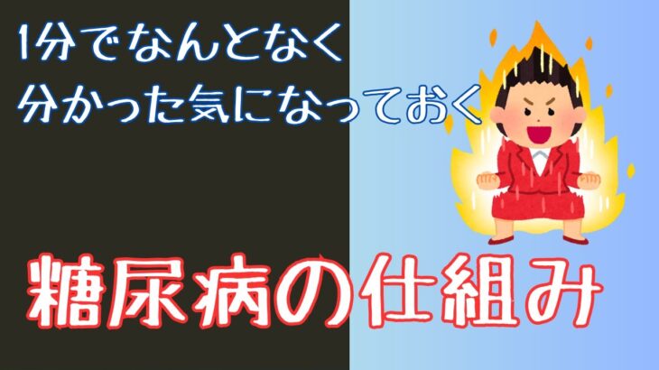 糖尿病の仕組みを1分で分かりやすく解説