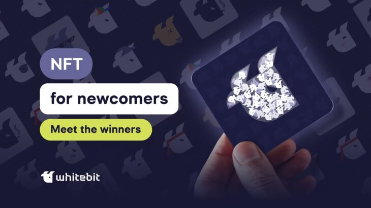 100 NFT for newcomers in MayWho won?