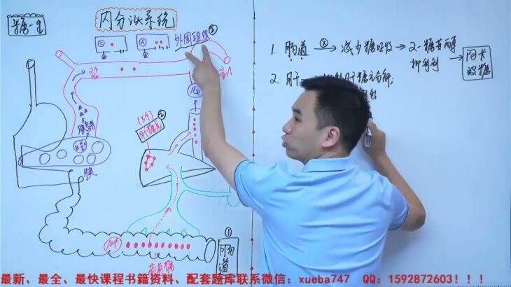 153  06 3 糖尿病 3 【2022临床执业助理医师 昭昭 内分泌系统】