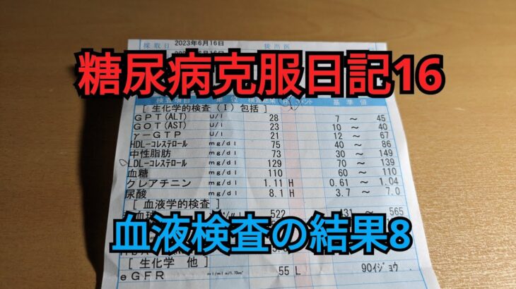 糖尿病克服日記16　血液検査の結果8