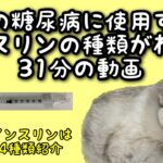 猫の糖尿病に使用するインスリンの種類がわかる31分の動画