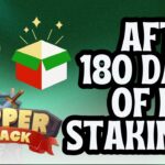 After 180 days of Pepper Attack NFT staking!!! [UPDATED GAMEPLAY INCLUDED]