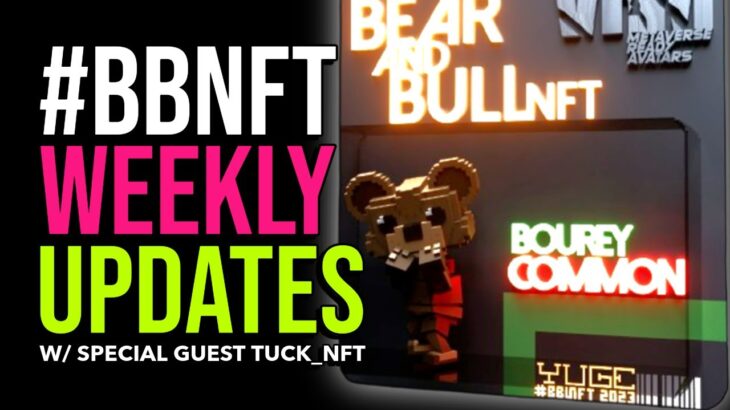 BEAR & BULL NFT COLLECTION WEEKLY UPDATES!