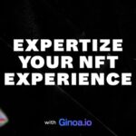 Expertise Your NFT Experience