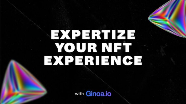 Expertise Your NFT Experience