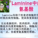 #Laminine® – 癌症-糖尿病-抑郁症-失眠克星-乐命宁介绍-Chinese-Presentati