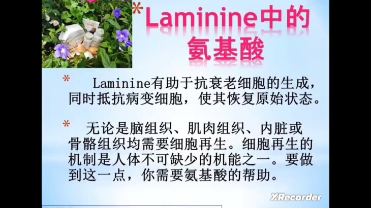 #Laminine® – 癌症-糖尿病-抑郁症-失眠克星-乐命宁介绍-Chinese-Presentati