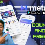 MetaOne Wallet: A Revolutionize Wallet Plus A Free NFT 1