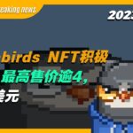 【Moonbirds Breaking news】Moonbirds NFT积极向上，最高售价逾4,000美元