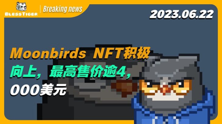 【Moonbirds Breaking news】Moonbirds NFT积极向上，最高售价逾4,000美元