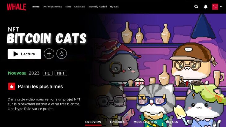 NFT BITCOIN CATS 🟧 L’un des Projets NFT les Plus Hype sur la Blockchain Bitcoin