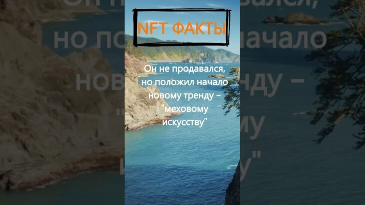 Вы слышали о парне, который продался продать NFT кошачьего комка шерсти? #relax #nft #ocean #shorts