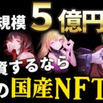 【NFT銘柄】marumaruNFTの運営がヤバい！伸びしろだらけの将来性を解説！【仮想通貨女子】