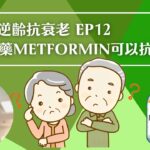 NMN 逆齡抗衰老系列 Ep12：治療糖尿病藥 Metformin二甲雙呱真的可以對抗衰老嗎❓ | 逆齡抗衰老⏪ | Dr. SAM🥼