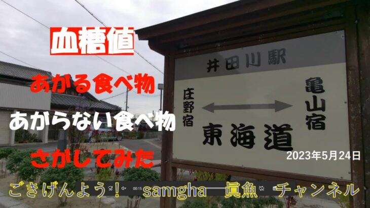 糖尿病　やっつけるからな！　【Round,6】　5月24日　血糖値データと食事メニュー