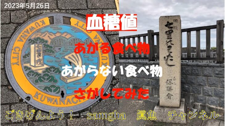 糖尿病　やっつけるからな！　【Round,8】　5月26日　血糖値データと食事メニュー