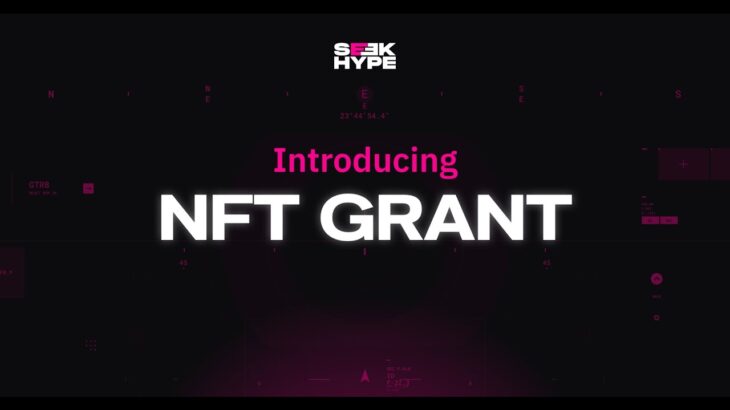 SeekHYPE: NFT Grant For Artists